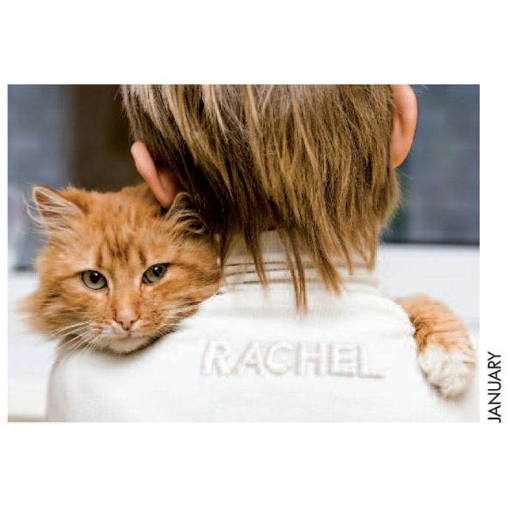 Personalised Cat Calendar The Gift Experience Personalised Cat Calendar The Gift Experience