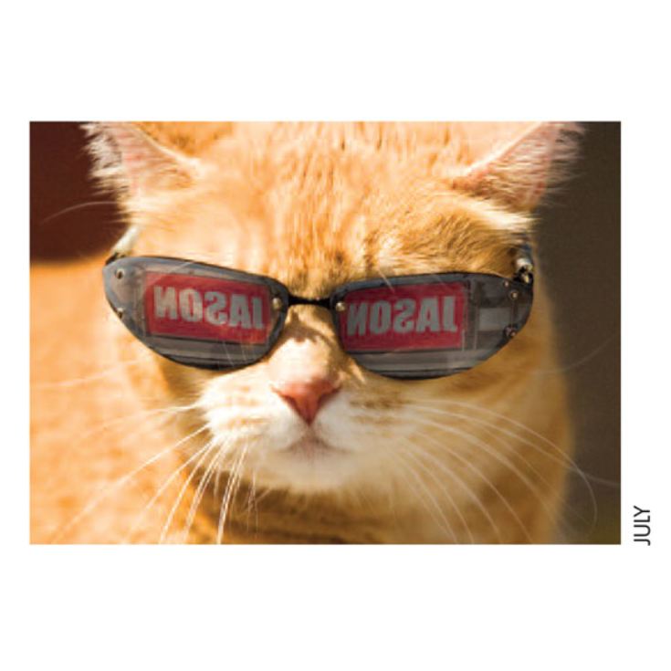 Personalised Cat Calendar product image