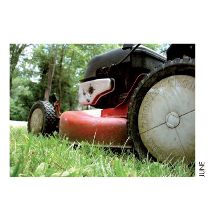 Personalised Gardening Calendar product image