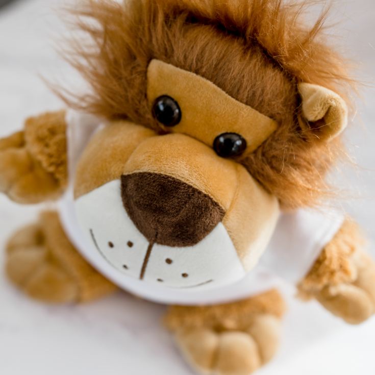 Personalised Lion Soft Toy product image