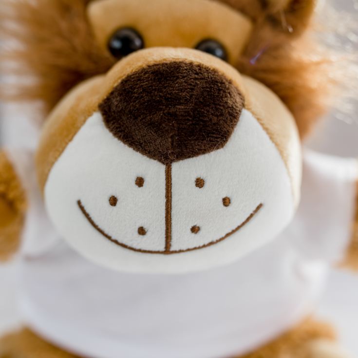 Personalised Lion Soft Toy product image