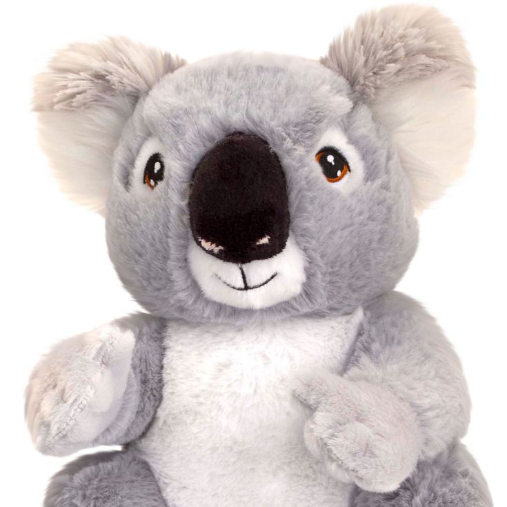 Koala Bear Soft Cuddly Toy The Gift Experience