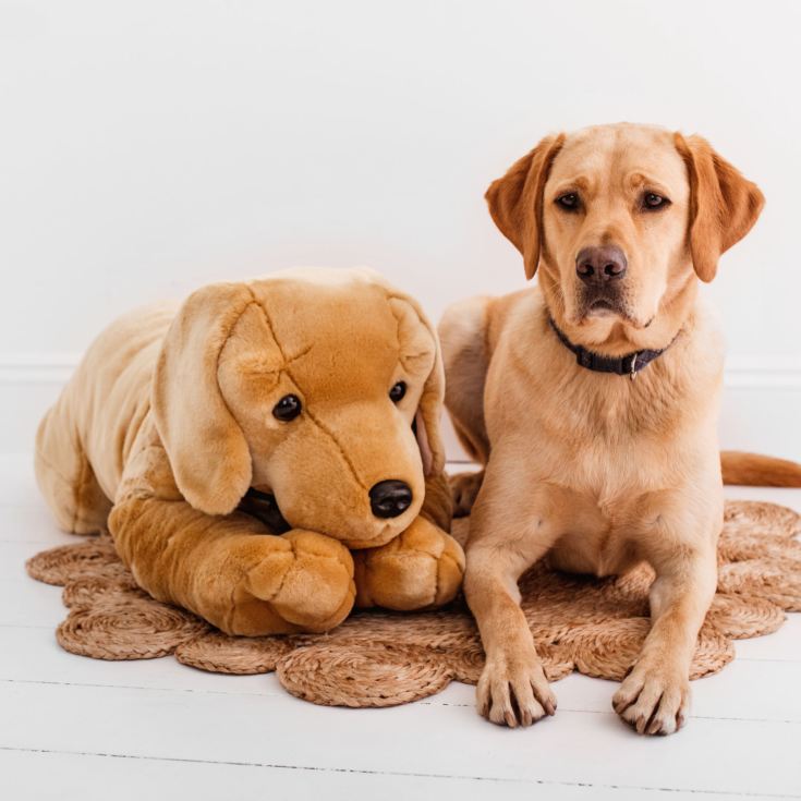 giant labrador soft toy