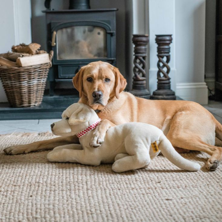 Giant Golden Labrador Soft Toy product image
