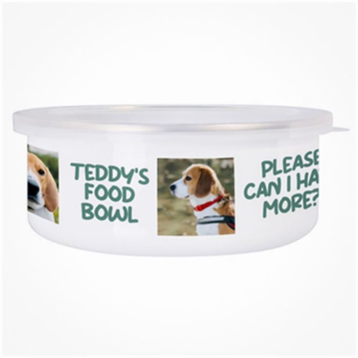 Personalised Photo Upload Enamel Pet Bowl product image