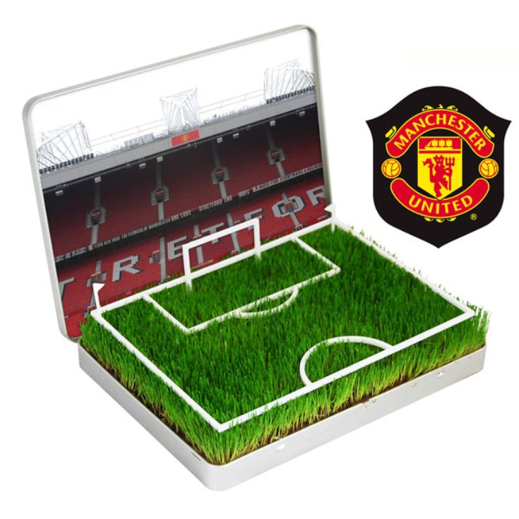 Grow Your Own Mini Football Pitch product image