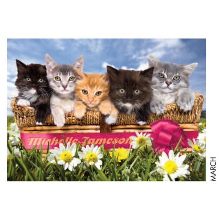Personalised Cat Calendar The Gift Experience Personalised Cat Calendar The Gift Experience