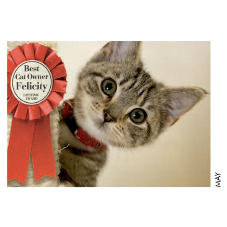 Personalised Cat Calendar product image