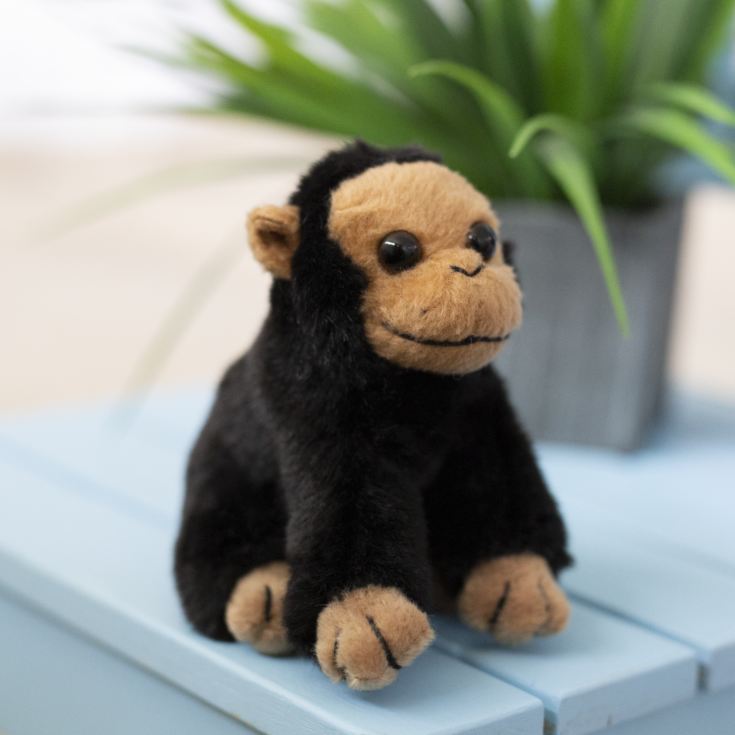 Baby Chimpanzee product image