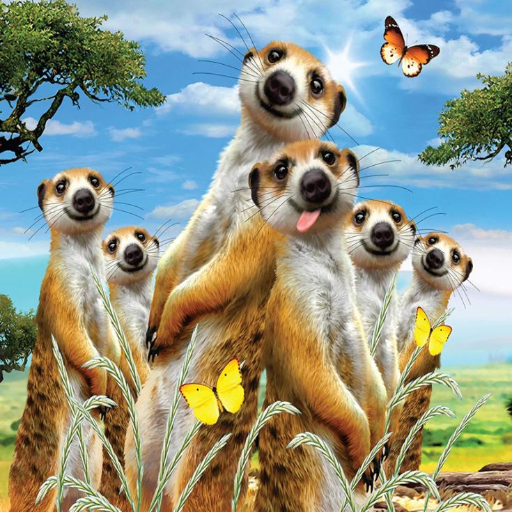 Mini Selfie Puzzle - Meerkats product image