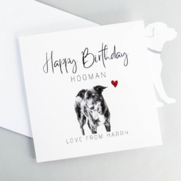 Personalised Hand Glittered Photo Upload Birthday Card from the Dog product image
