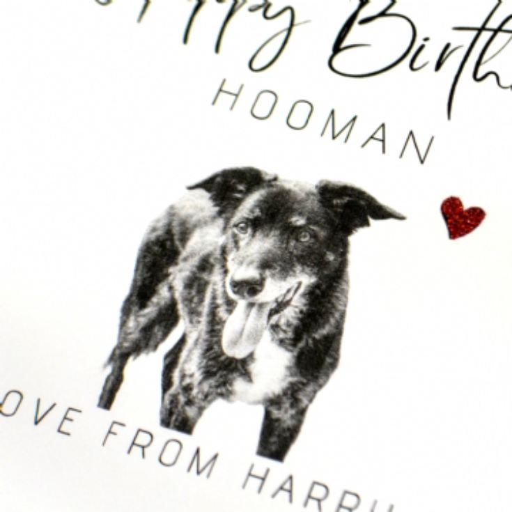 Personalised Hand Glittered Photo Upload Birthday Card from the Dog product image