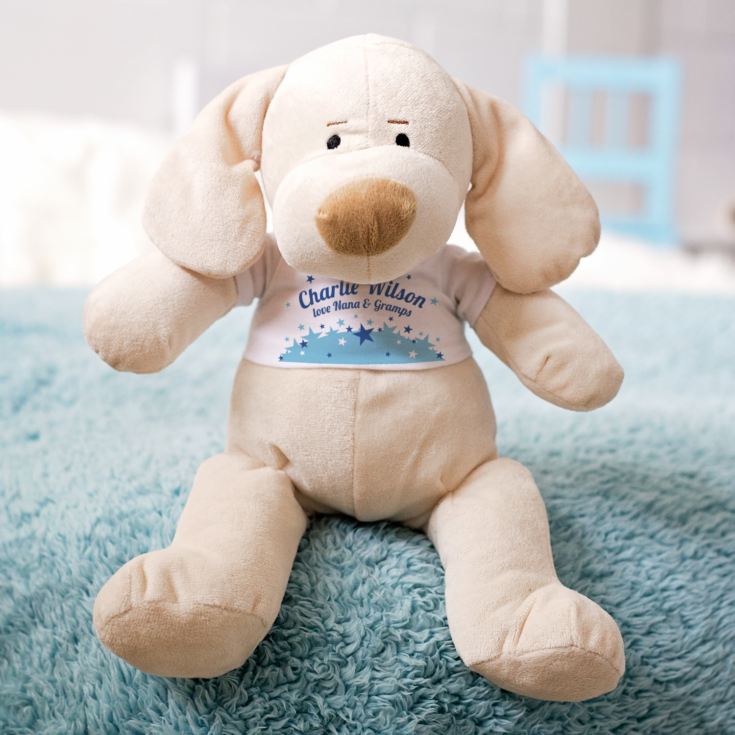Personalised My First Puppy Soft Toy Baby Boy The Gift Experience