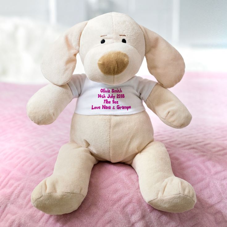 Personalised New Baby Soft Toy The Gift Experience