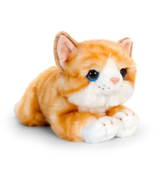 cat cuddly toy