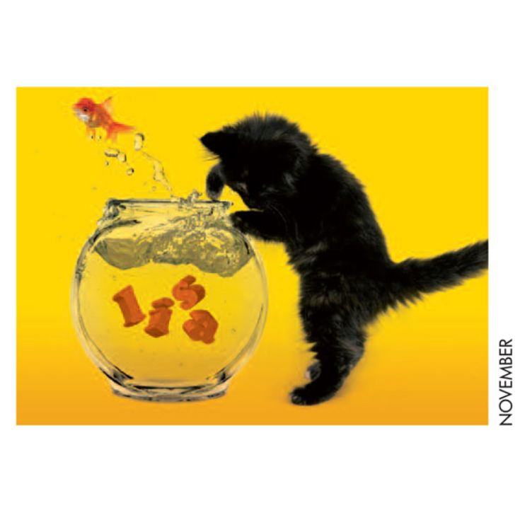 Personalised Cat Calendar product image