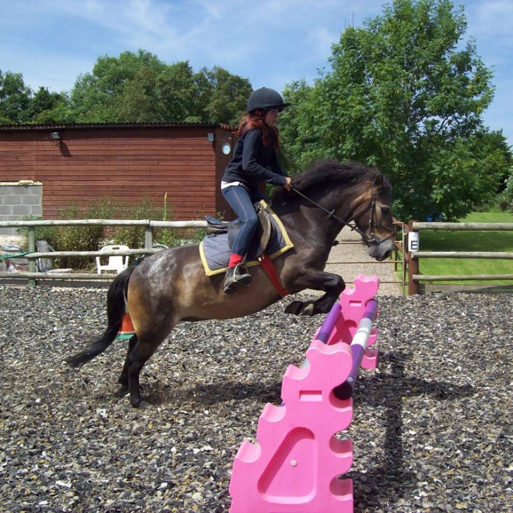 One Hour Horse Riding Experience UK Wide The Gift Experience