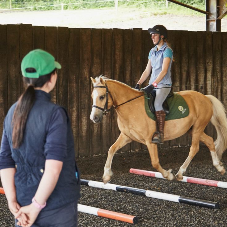 One Hour Horse Riding Experience UK Wide The Gift Experience