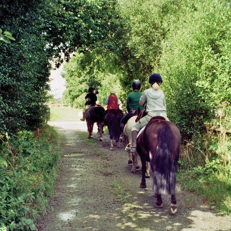 One Hour Horse Riding Experience UK Wide The Gift Experience