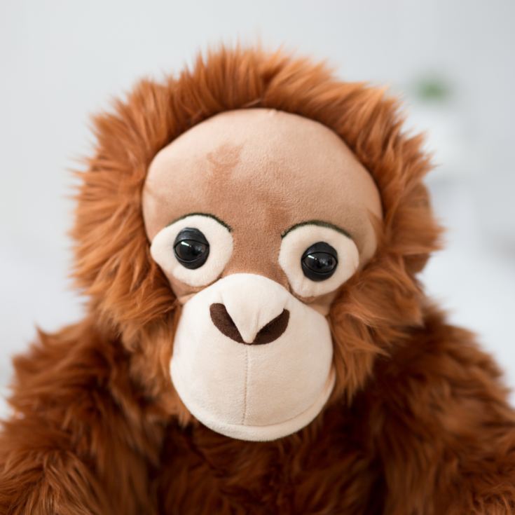 cuddly orangutan