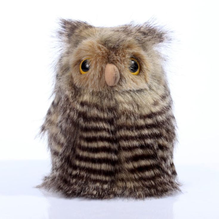Fluffy the Baby Owl Soft Toy The Gift Experience