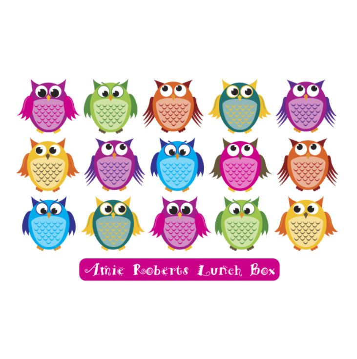 Personalised Owls Lunch Box product image