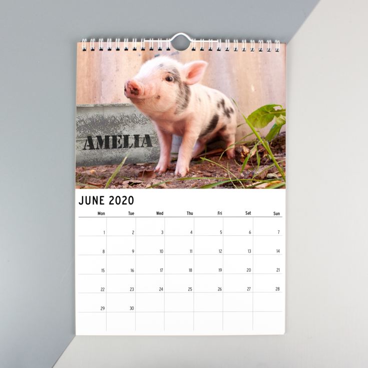 Personalised A4 Cute Animals Calendar product image