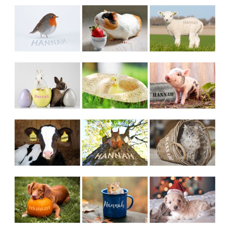Personalised A4 Cute Animals Calendar product image