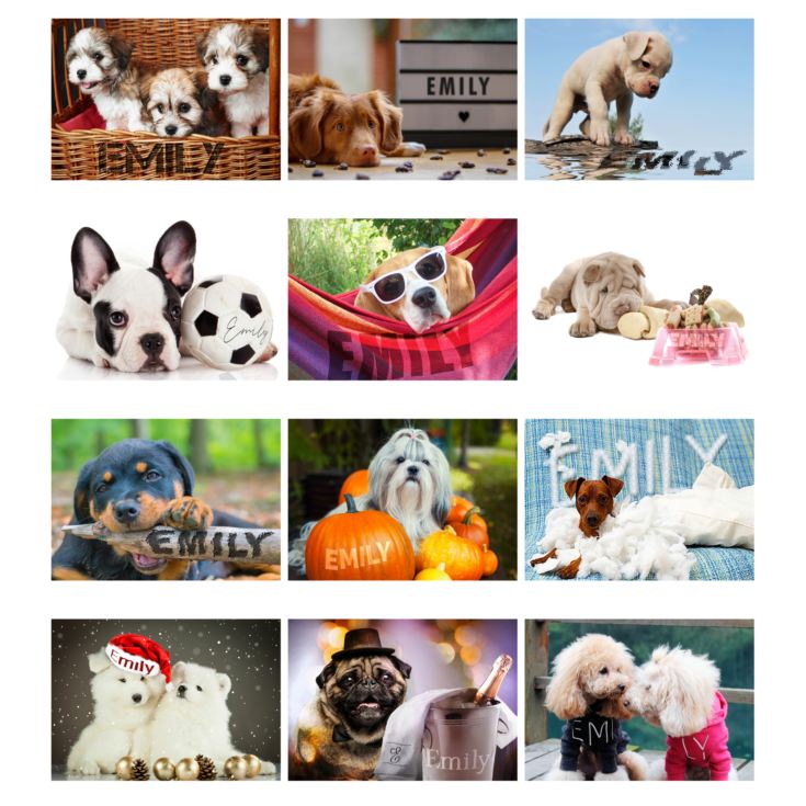 Personalised A4 Barking Mad Calendar product image