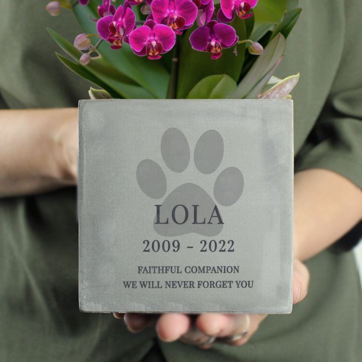 Personalised Pet Paw Print Concrete Pot product image