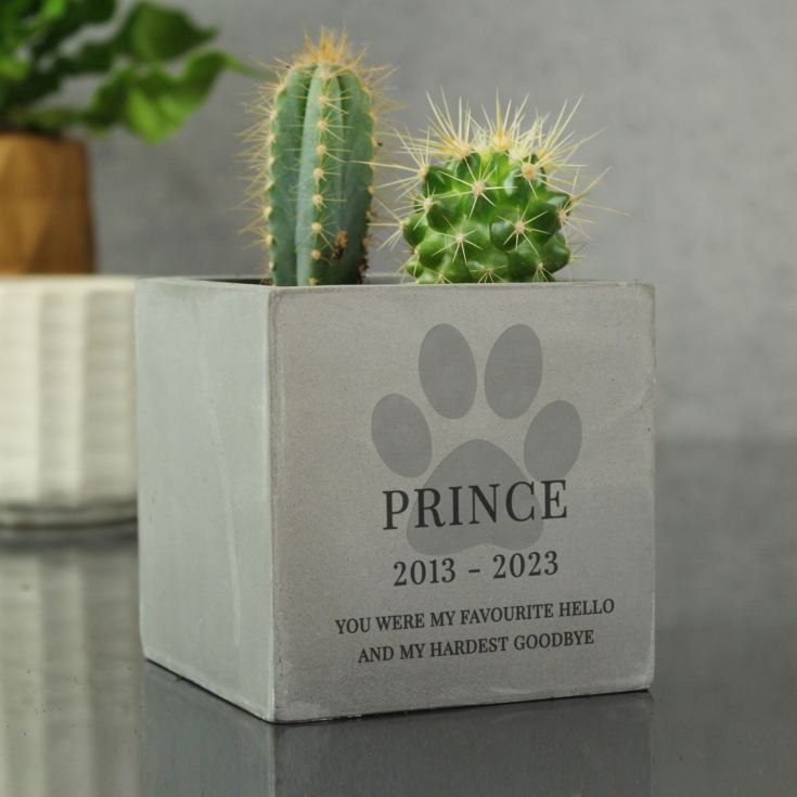 Personalised Pet Paw Print Concrete Pot product image