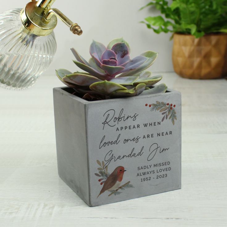 Personalised Robins Appear Concrete Pot product image