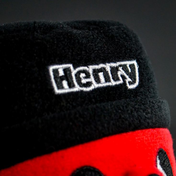 Henry Hoover Screen Cleaner The Gift Experience