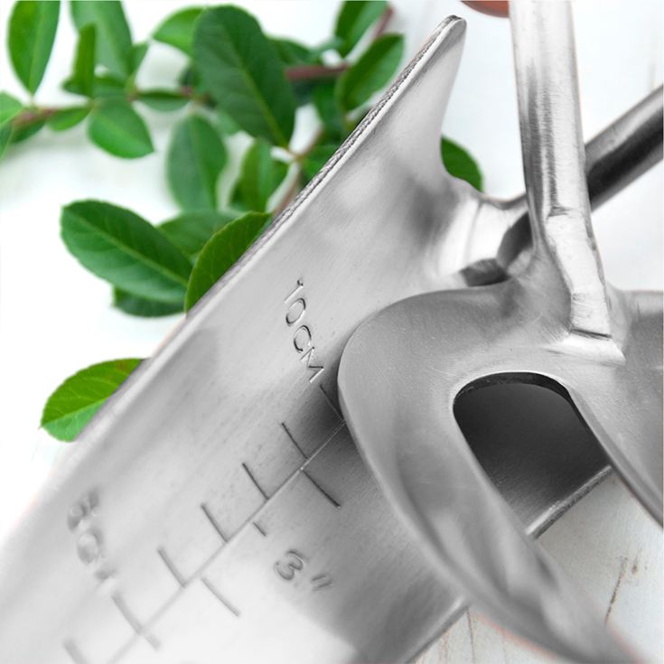 Personalised Luxe Silver Trowel and Fork Set product image