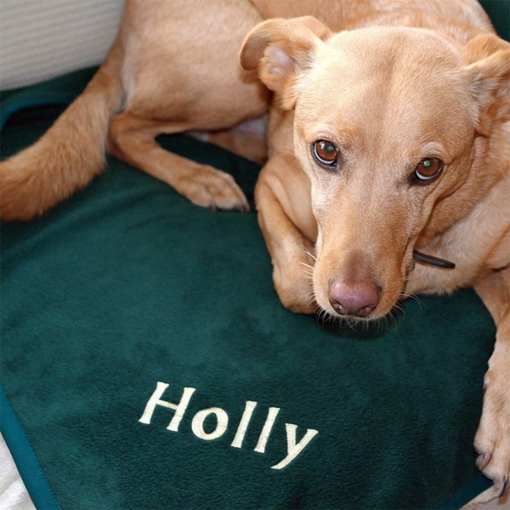 Large Personalised Pet Blanket product image