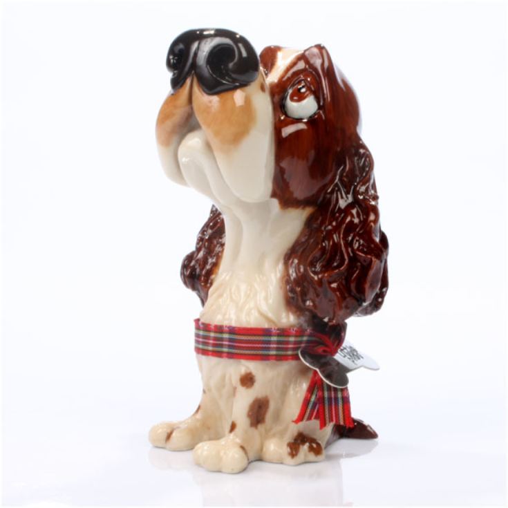 Personalised Pooch - Springer Spaniel product image