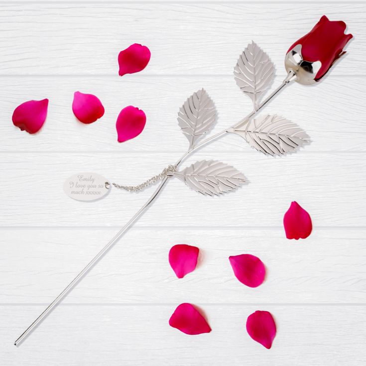 Personalised Silver Plated Rose With Red Bud product image