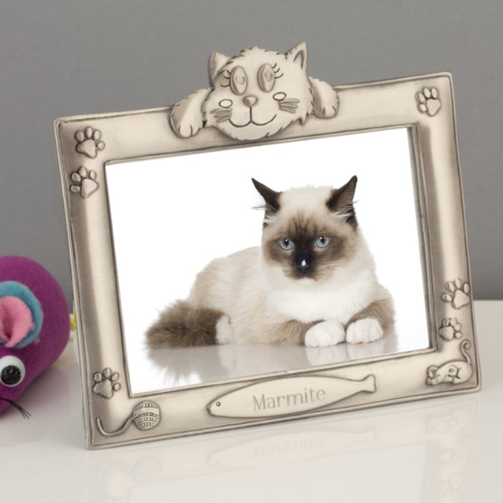 Personalised Antique Finish Cat Photo Frame The Gift Experience