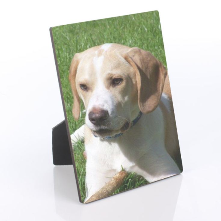 Pet Photo Plaque product image