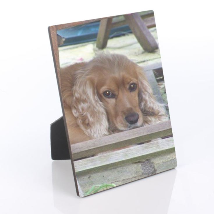 Pet Photo Plaque product image