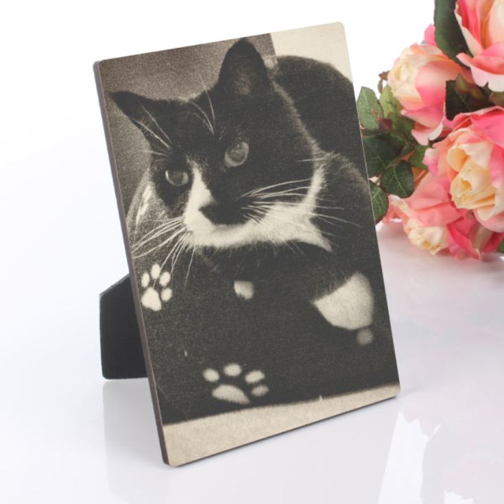 Pet Photo Plaque product image