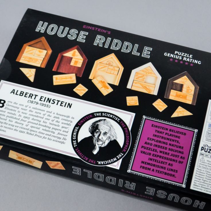 Einstein House Riddle Puzzle product image