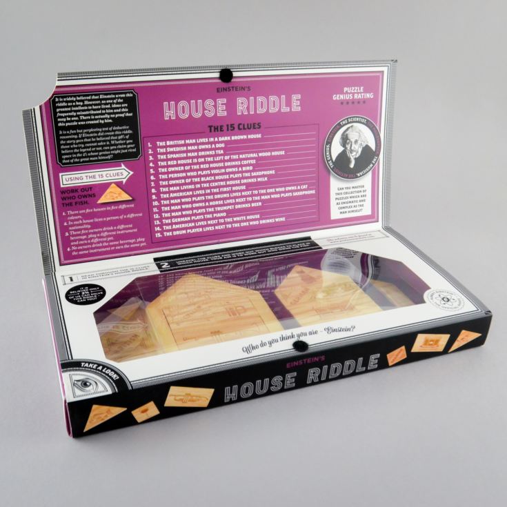Einstein House Riddle Puzzle product image