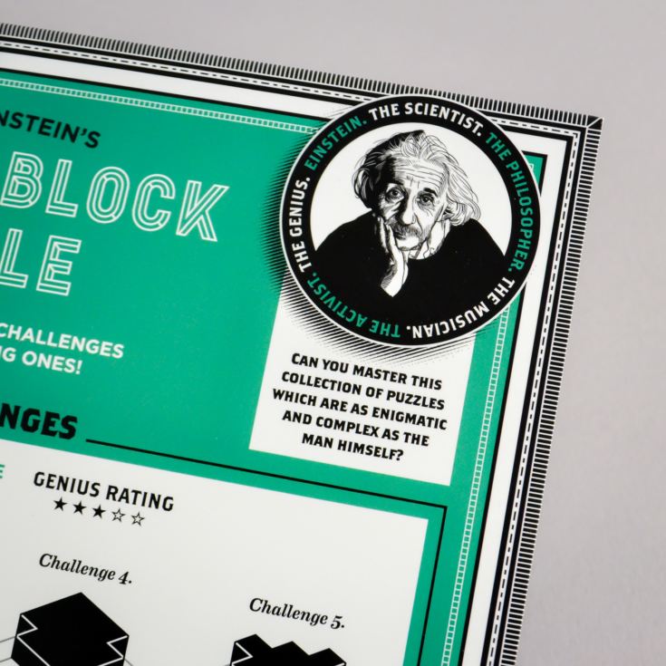 Einstein Letter Block Puzzle product image