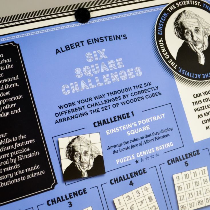 Einstein Six Square Challenge Puzzle product image