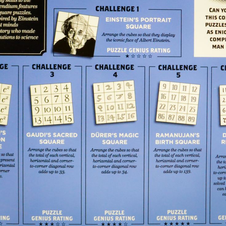 Einstein Six Square Challenge Puzzle product image