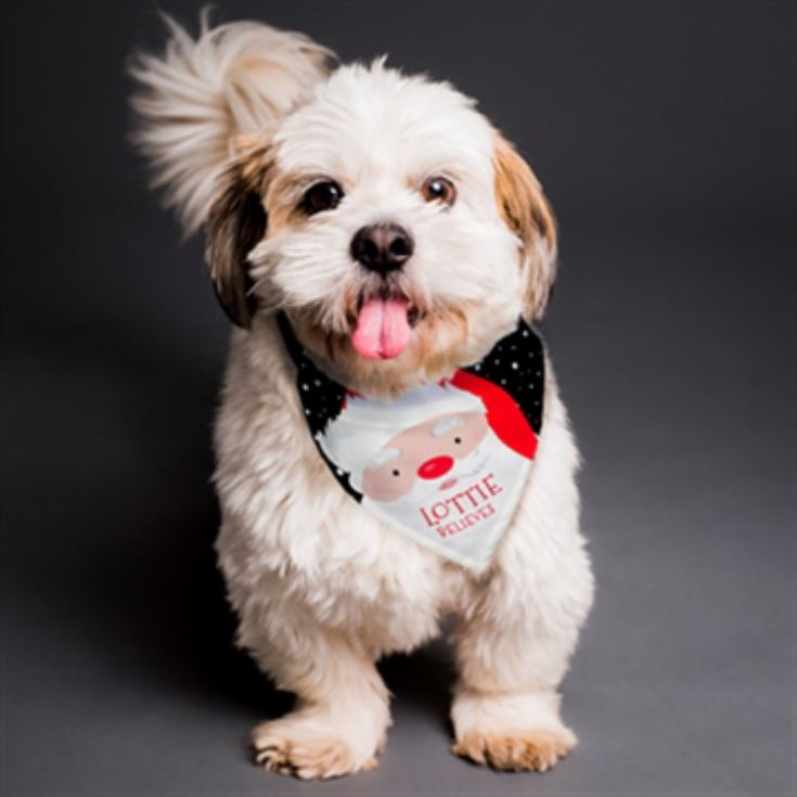 Personalised Santa Dog Bandana product image