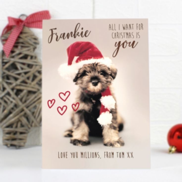 Personalised Rachael Hale Dog & Cat Christmas Card - All I Want For Christmas product image