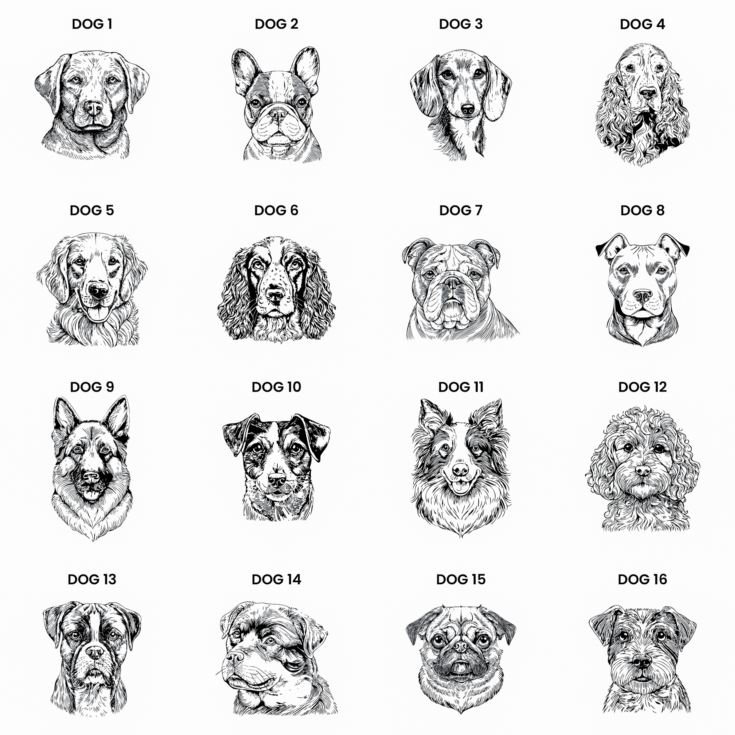 Personalised Reserved For Dog Breed Cushion product image