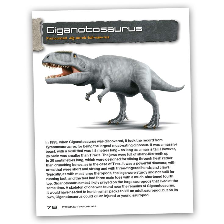 Pocket Manual Dinosaurs product image